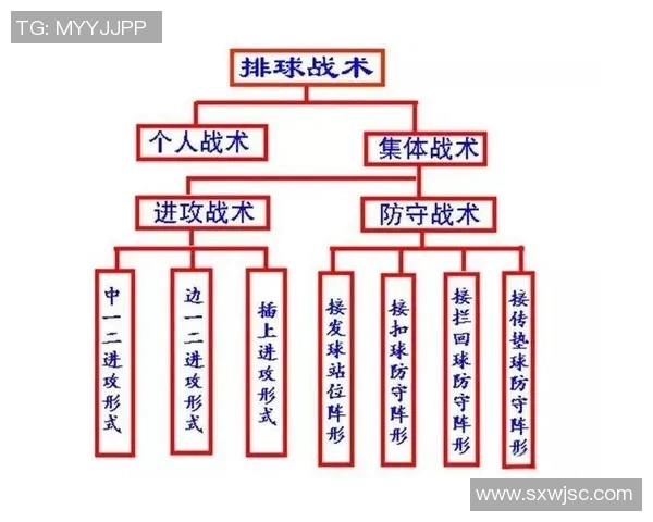 成都排球队整体压制战术解析与实战应用探讨 成都排球队整体压制战术解析与实战应用探讨